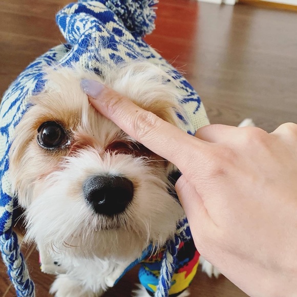 Meet your Posher, CL. A - Picture 1 of 1